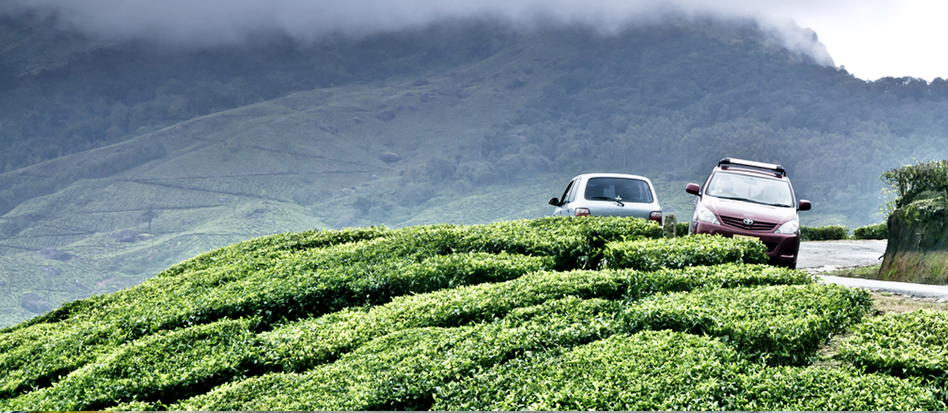 munnar taxi club